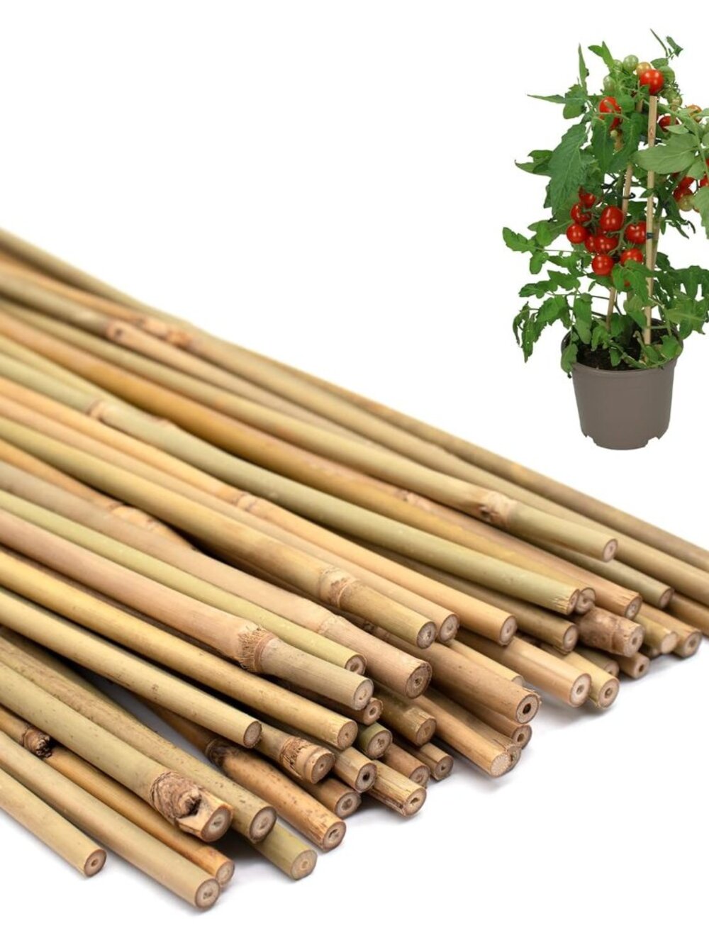 Plant Stakes 50Pcs 18IN, Premium Natural Bamboo Stakes Garden Stakes